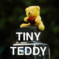 The adventures of a tiny teddy -- In which I photograph a very small teddy bear.