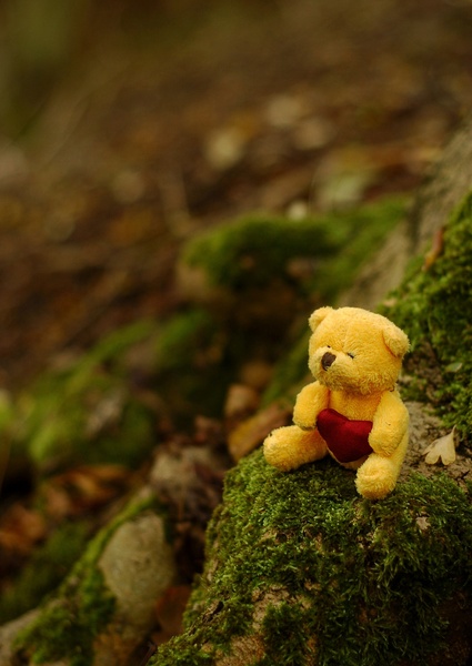 Tiny teddy sits under a tree